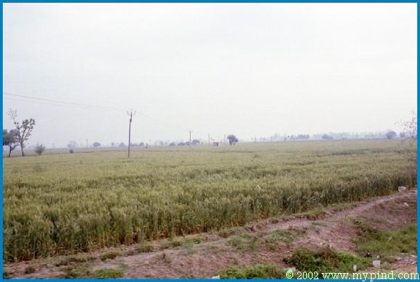 qA00505.jpg