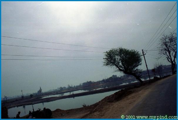 qA00606.jpg