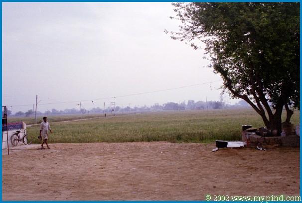 qA00909.jpg