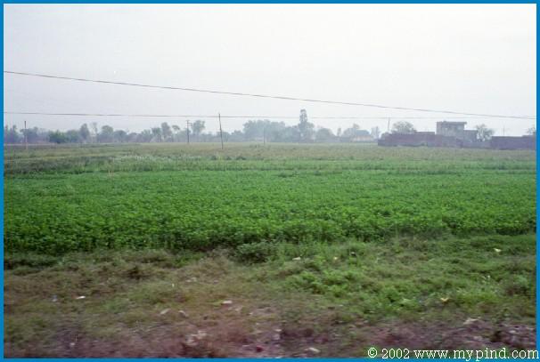 qA013013.jpg