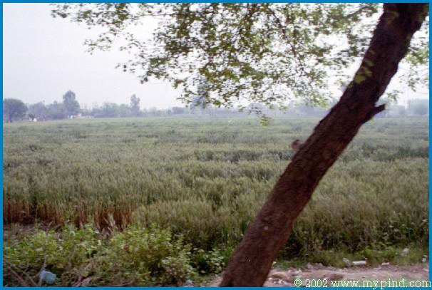 qA014014.jpg