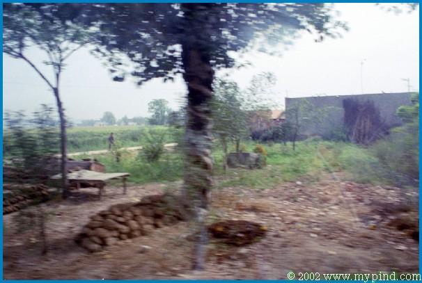 qA018018.jpg