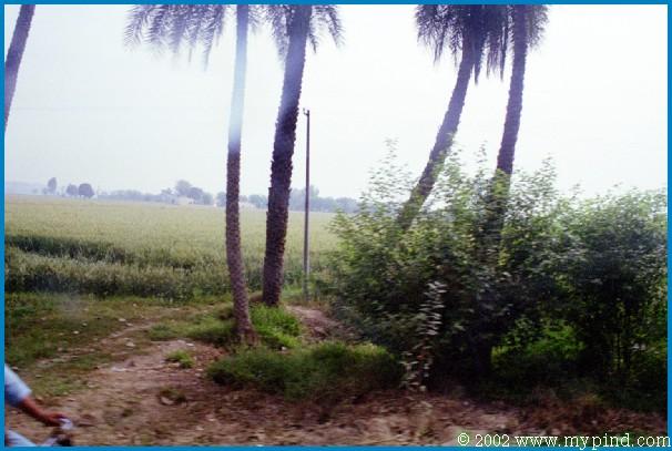 qA019019.jpg
