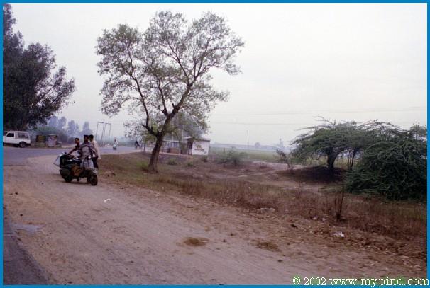 qA020020.jpg