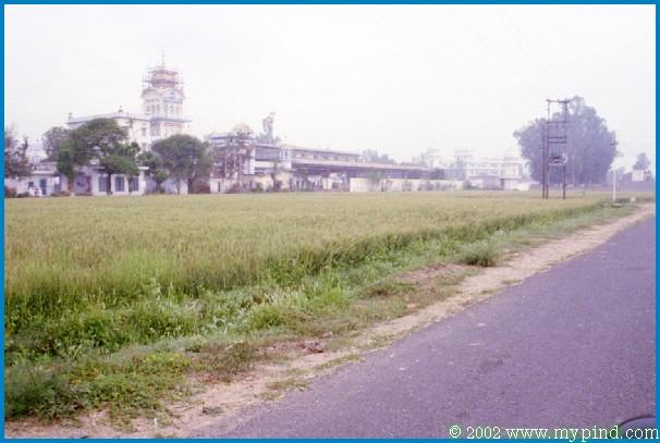 qA024024.jpg