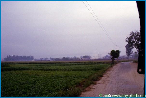 qA026026.jpg