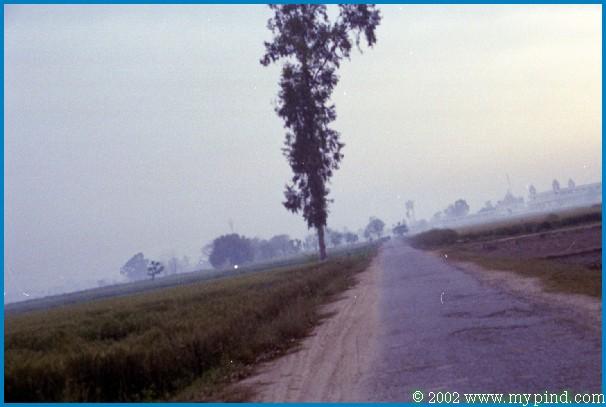 qA027027.jpg