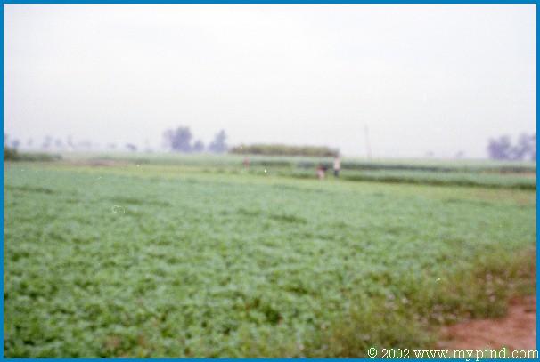 qA028028.jpg