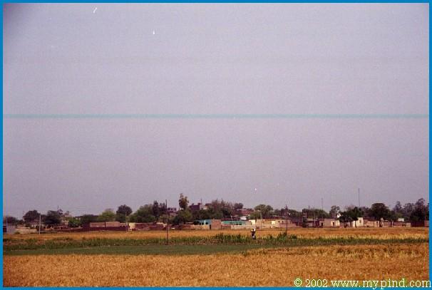 qA09403a.jpg