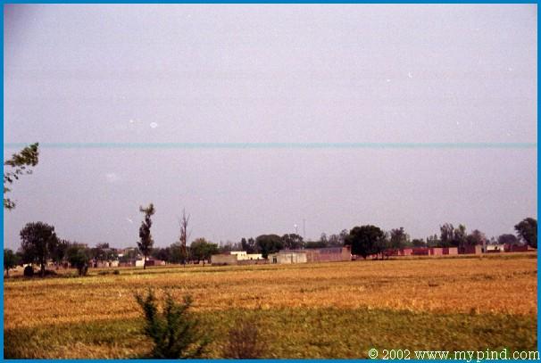 qA09504a.jpg