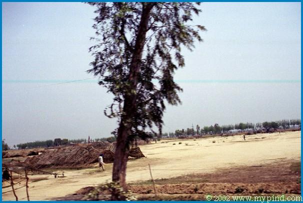 qA09908a.jpg