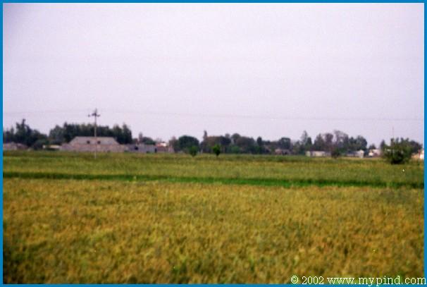 qla086012a.jpg