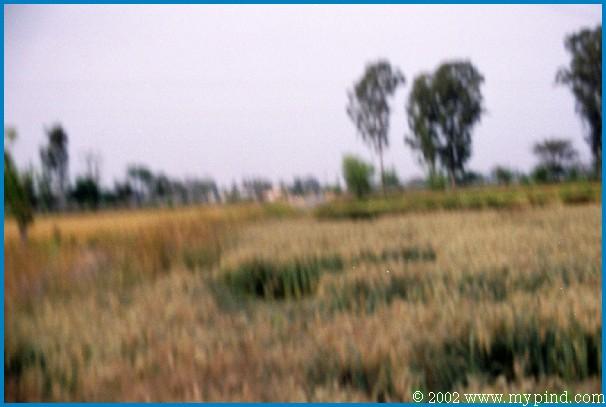 qla087013a.jpg