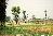 qA104013a.jpg