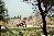 qA115024a.jpg