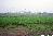 qA013013.jpg
