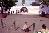 qr8109024a.jpg